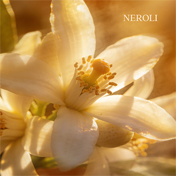 Neroli